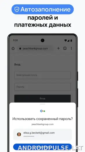 Google Chrome скриншот 6